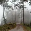 Miguel Rascon - @miguel.rascon4 - TikTok