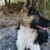 miguel rascon - @miguel.rascon06 - TikTok