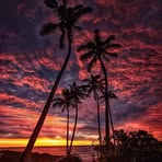 Miguel Rio - Facebook