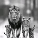 Miguel Rio - Facebook