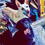 Miguel Rosalez - @rosalez72 - Instagram