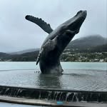 Miguel samano - @miguelsamanod - Instagram
