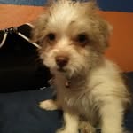 miguel samano - @miguelsamanoflores - Instagram