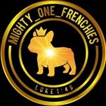 Miguel Sanchez - @mighty_one_frenchies - Instagram