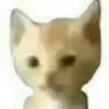Smiley el miguel - @smiley.el.miguel - TikTok