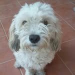 Miguel Sossa - @miguel_sossa.lza - Instagram