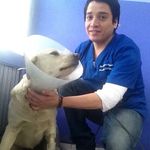 Miguel Suazo - @miguelsioo - Instagram