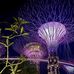 Miguel Webster - Facebook