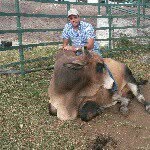 Miguel Angel Zerpa Angulo - @miguelzerpa1381 - Instagram