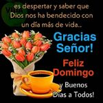 Miguelina Serrano - @miguelinaserrano6 - Instagram