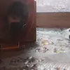 Miha_alee - @miha_alee - TikTok