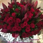 Mihaela Savin - @mihaela.savin.775 - Instagram