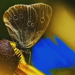 Chiru Mihai - @mihai.chiru - Instagram