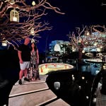 Mihai Chiru-Danzer - @mcdphd - Instagram