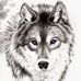 Mihai Roman - Facebook