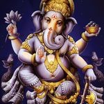 mihika@patel - @mihikapatel45 - Instagram
