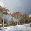 mi jung kim - @mi.jung.kim - TikTok