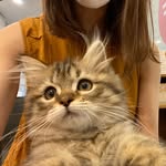 Mika - @mika_macktm - Instagram