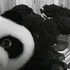 Mika - @mika_stone - TikTok