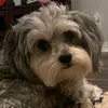 user1657818080056 - @mika.strong9 - TikTok