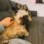 Mika & Wayne - @mimi_ledoux - Instagram