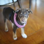 Mika Wilson - @mika.wilson.1 - Instagram