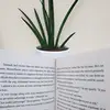 Mikaela - @mika.elareads - TikTok