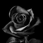 Michael Harris - Facebook