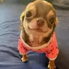 mikayla davis - @mikaylabiotch - TikTok