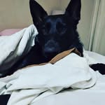 Mikayla Freemantle - @mikayla_freemantle - Instagram