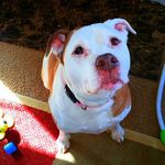 Mikayla harrell - @mikayla_harrell2006 - Instagram