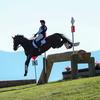 Mikayla Hoffman - @hoffman_eventing - TikTok