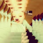 mikayla_wiseheart - @mikayla_133 - Instagram