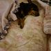 Mike Ables - Facebook