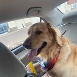 Mike Abe Abrahamson - @mikeabeabrahamson - Instagram
