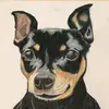 Mike Ackerman - @mikeackerman1 - TikTok