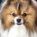 Mike Ackerman - Facebook