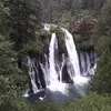 Mike Ackermann - @mike.ackermann - TikTok