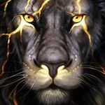 mikeacree - @mikeacree - Instagram