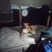 Michael Adcox - Facebook