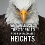 Mike Akin - @mikeakin8 - Instagram