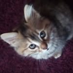 mike ammann - @ammann.mike - Instagram