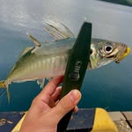 @mike__angler - Instagram