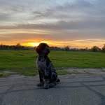 Mike Ansell - @mkansell - Instagram