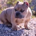 Mike Capone - @mike.aponte.14 - Instagram