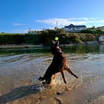Michael Appleby - @mike.appleby.37 - Instagram