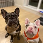 Mike Ramirez - @mikerarechiga - Instagram