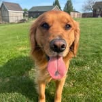 Mike Ashby - @mikeashby7 - Instagram