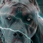 Mike Asher - @mikeasher28 - Instagram