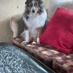 Mike Asman - Facebook